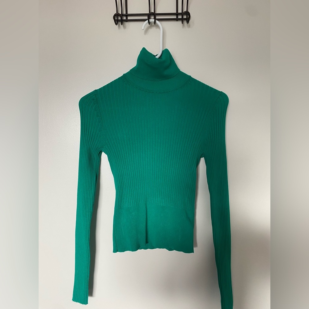 Zara Ribbed Knit Turtleneck
